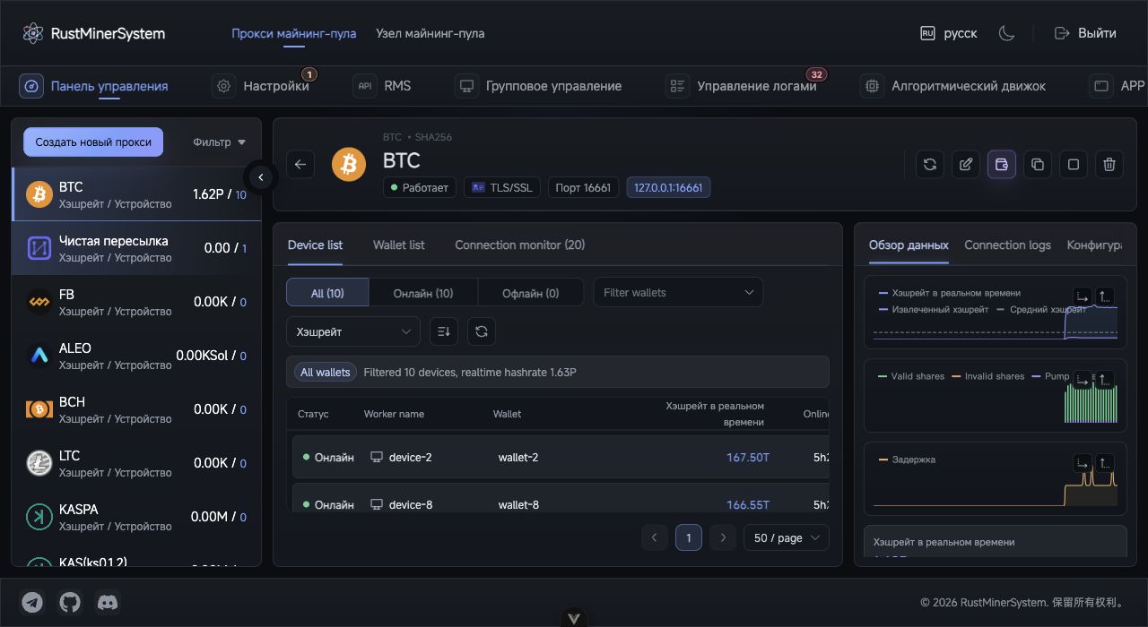 Страница деталей порта RustMinerSystem